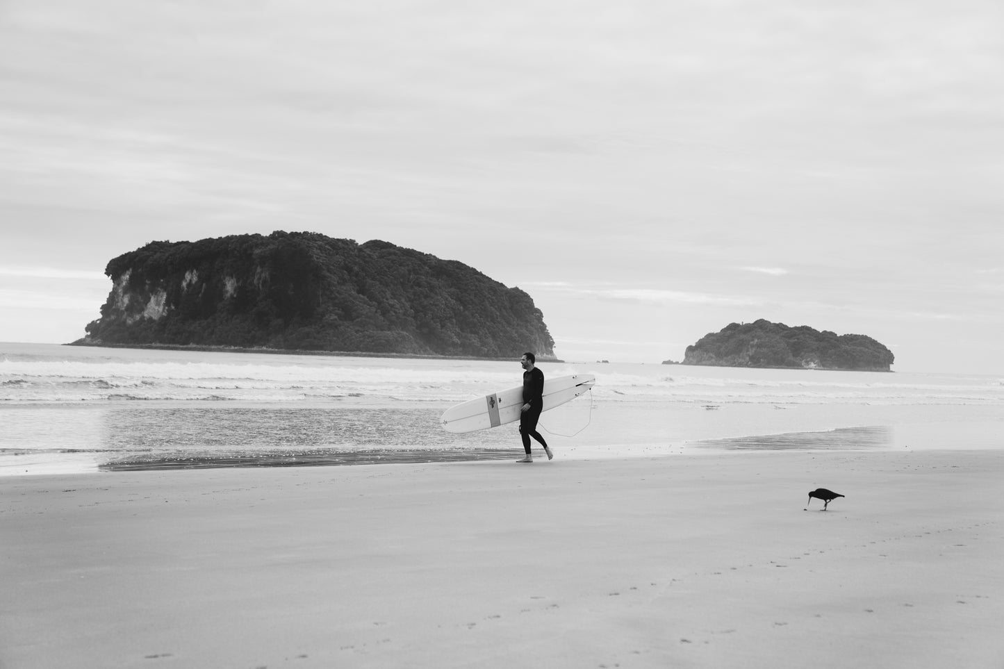 Surfers Get All The Birds