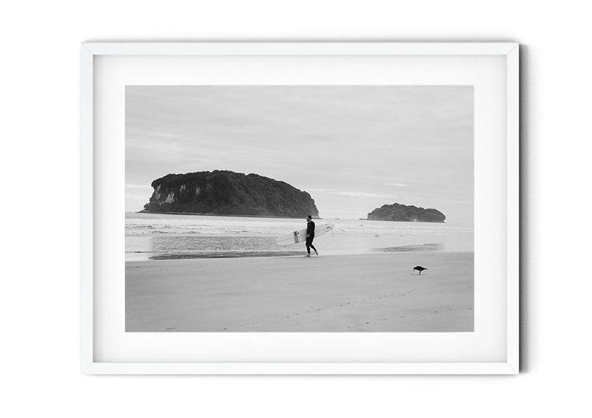 Surfers Get All The Birds